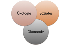 Ökologie, Ökonomie und Soziales